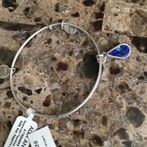 Alex and Ani bracelet